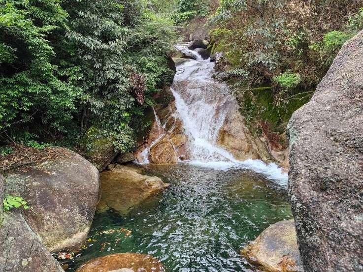 拯救精灵的土地10